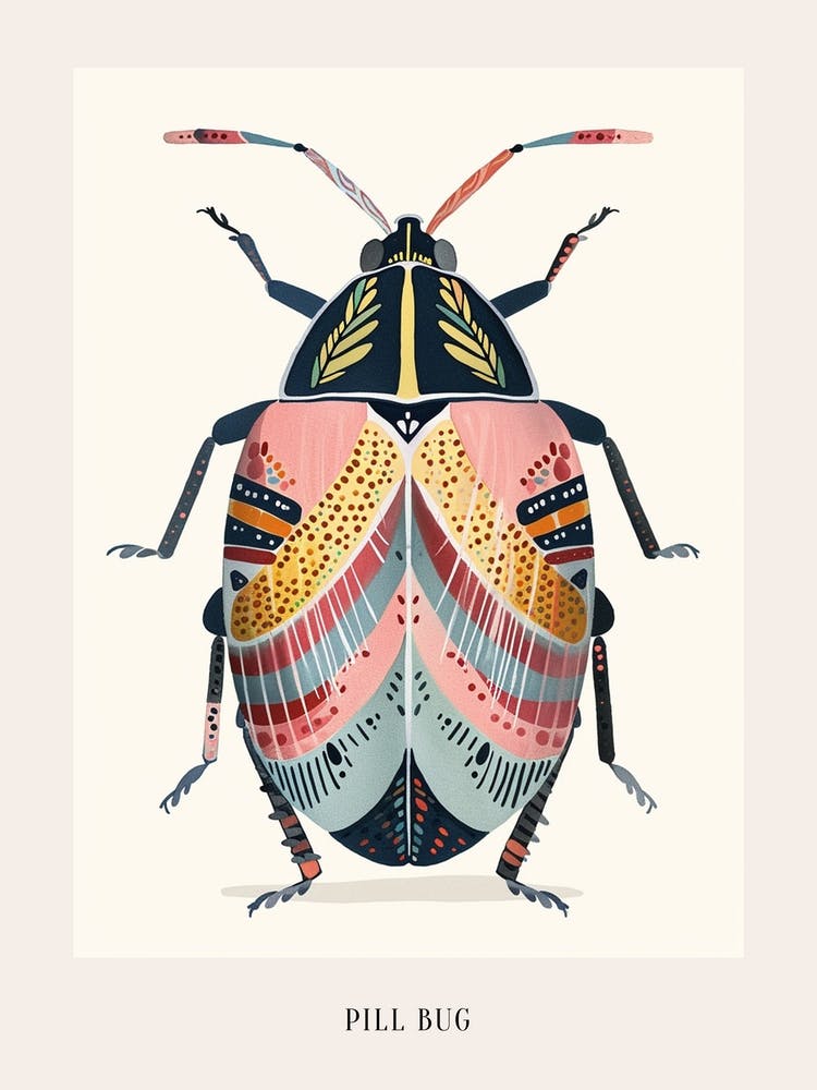 Colourful Insect Illustration Pill Bug 7 Poster
