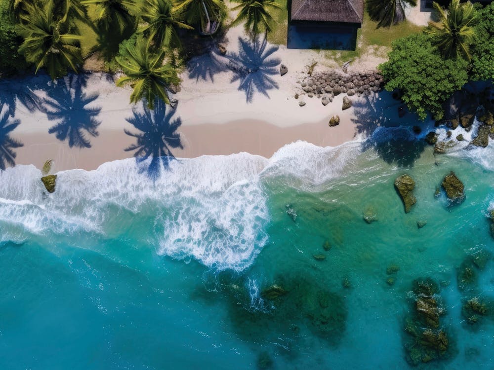 Aerial View Of A Tropical Beach 7