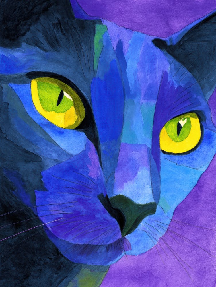 Blue Cat 37