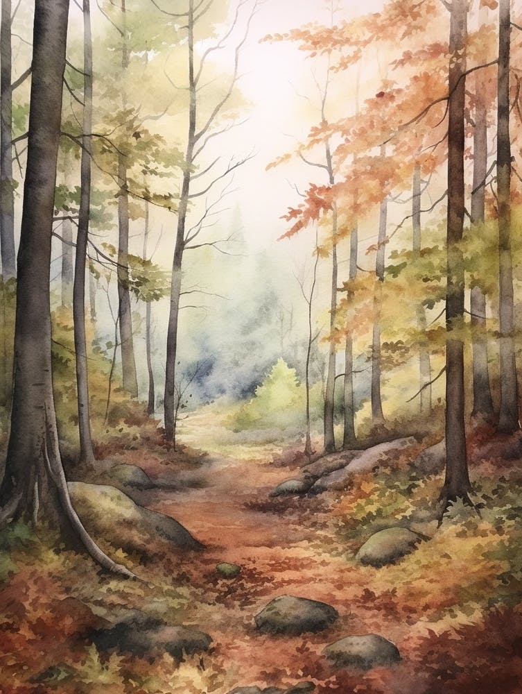 Autumn Forest Landscape The Thuringian Forest Germany