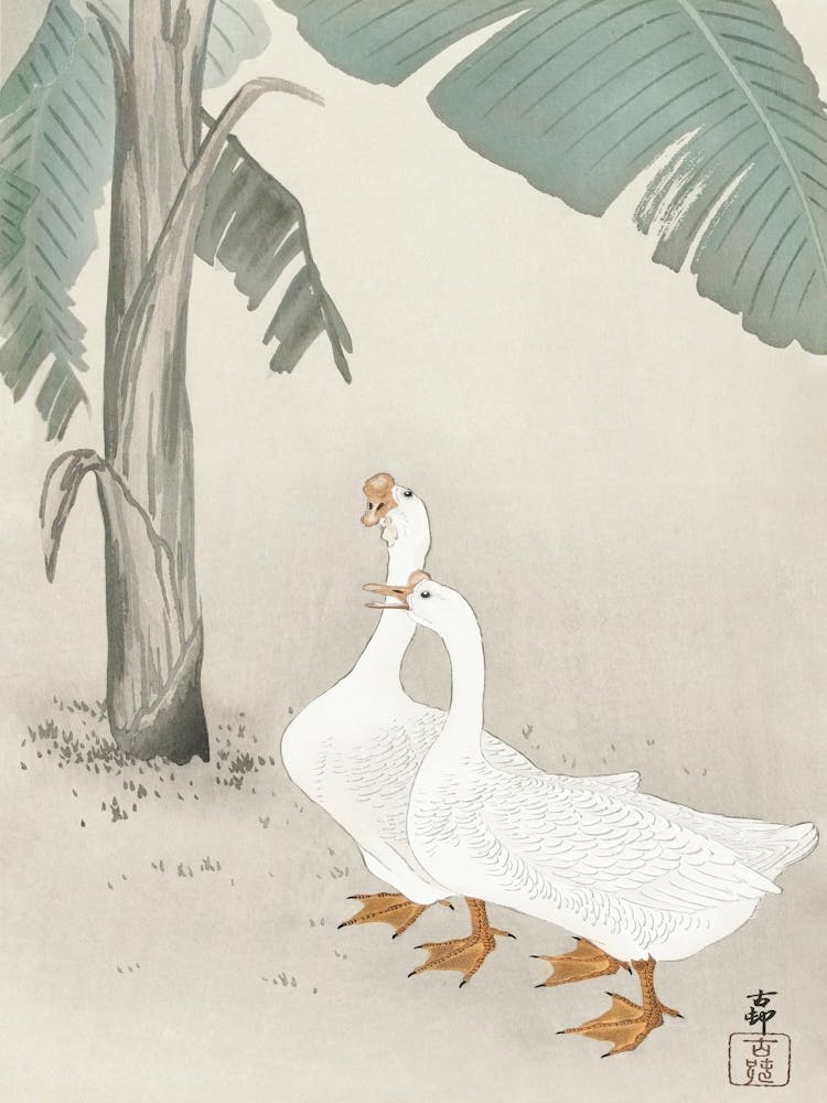 Two Geese At Banana Tree (1900 1945), Ohara Koson