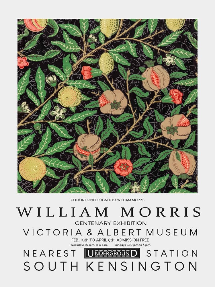 William Morris Affiche 7