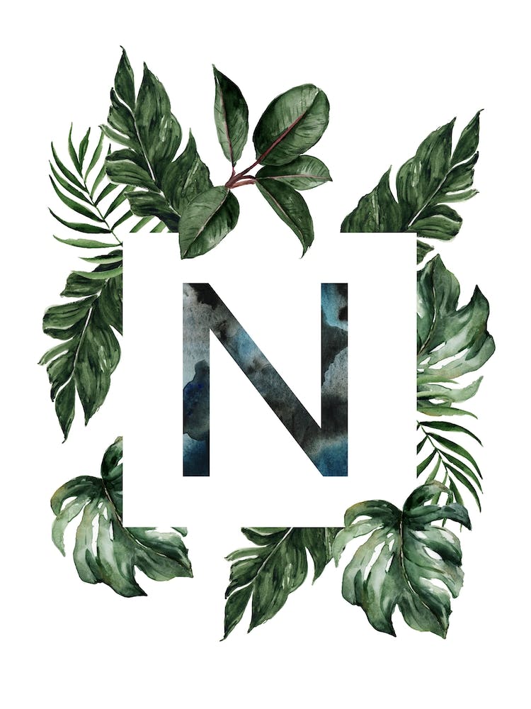 Botanical Alphabet N