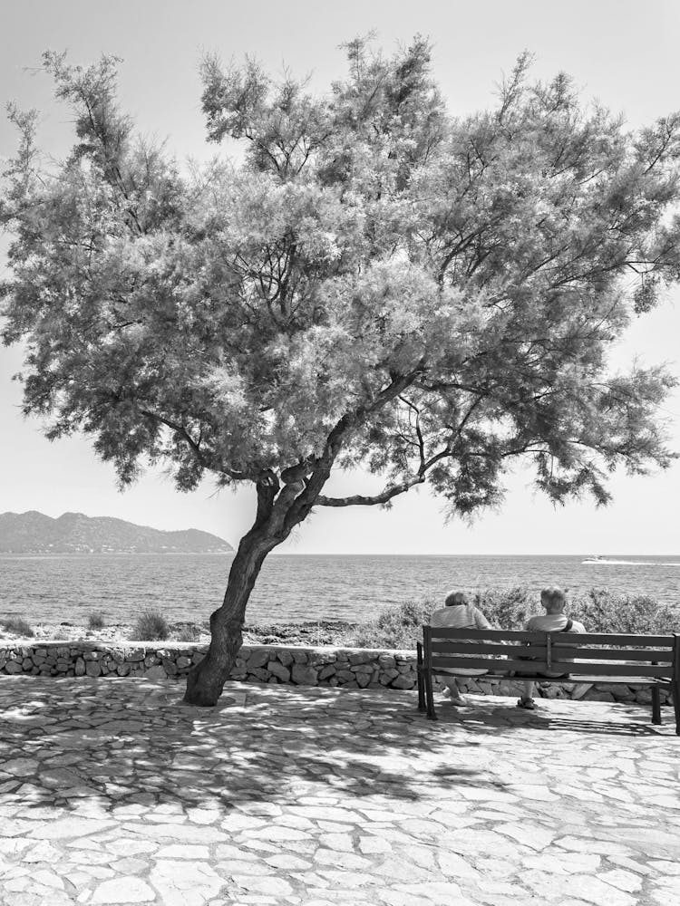 Black And White Photo Cala Millor Majorca