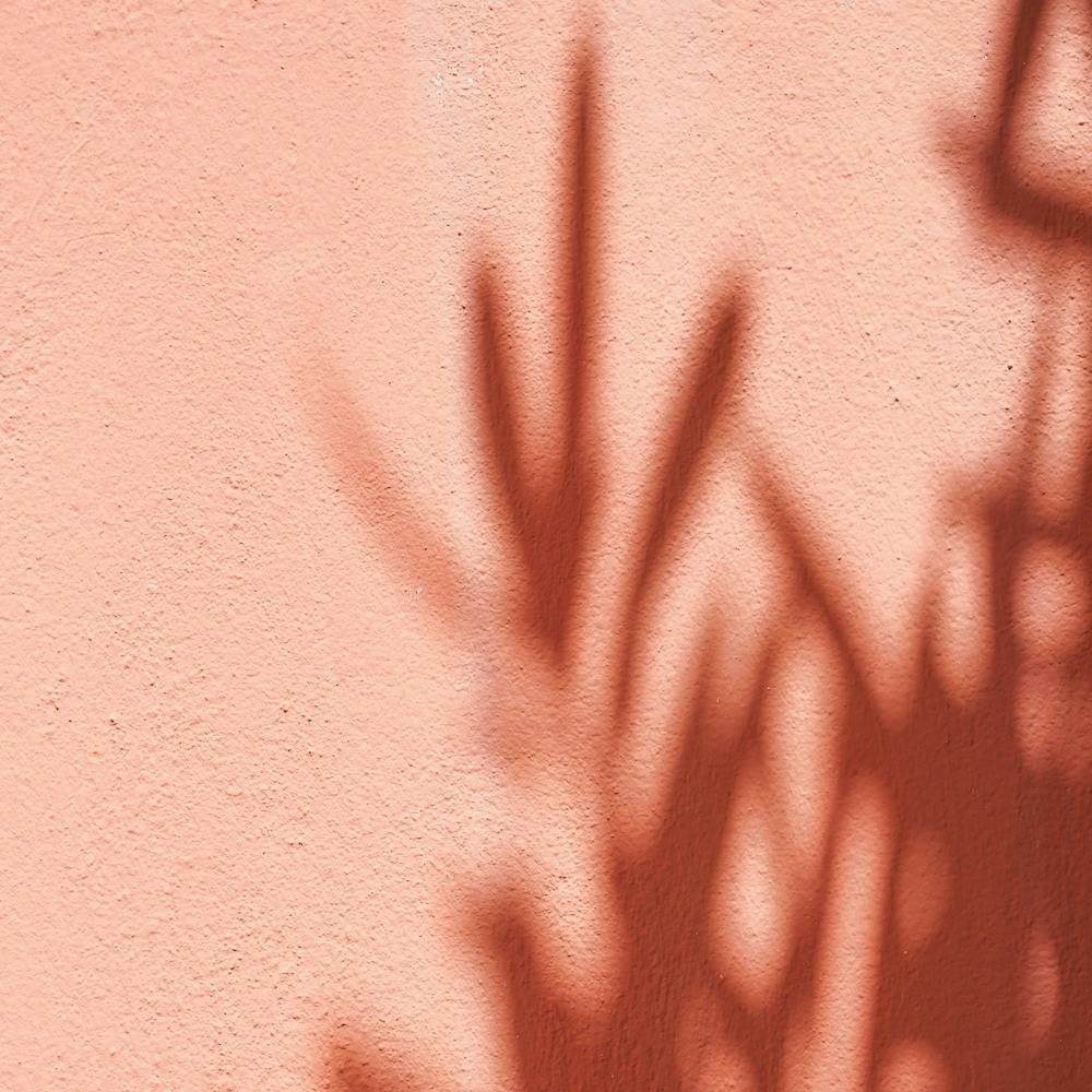 Olive Tree Shadow Square