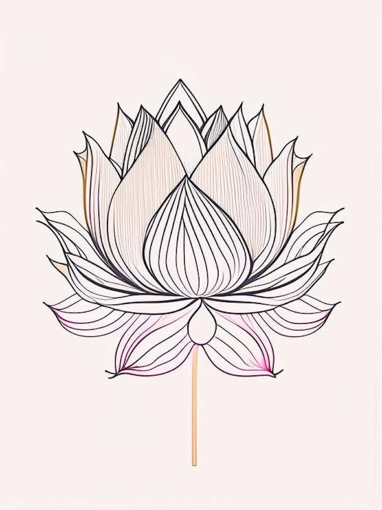 Lotus Flower Pattern Minimal Line Drawing 2