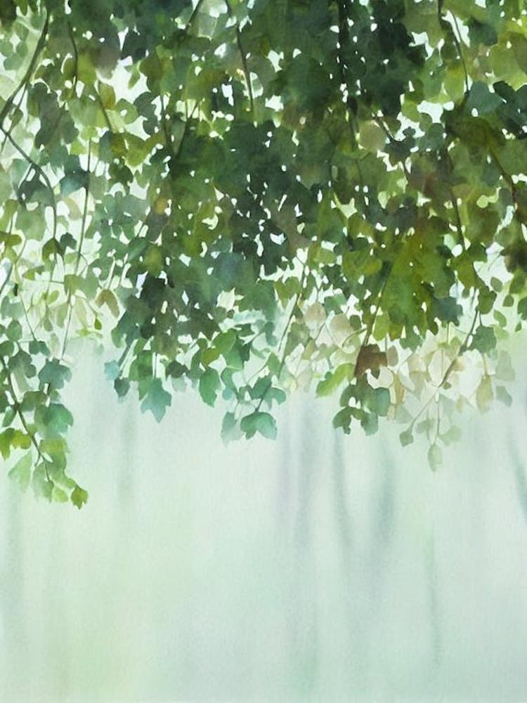 Hydnophora Ii Storybook Watercolour