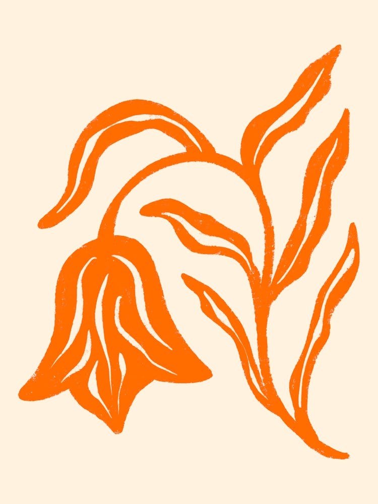 Textured Orange Tulip Botanical Art