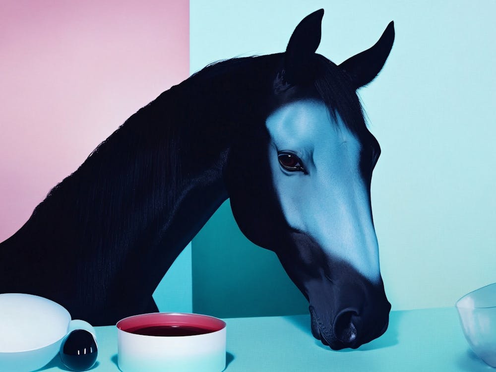 Horse With A Cup