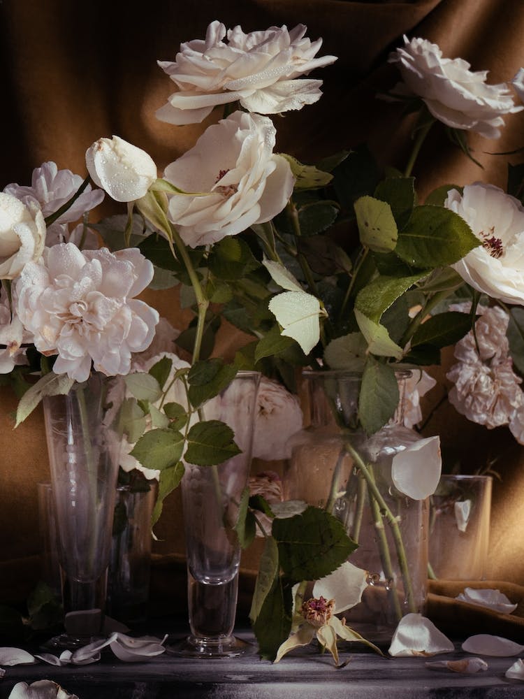 Roses Blanches Sur Or