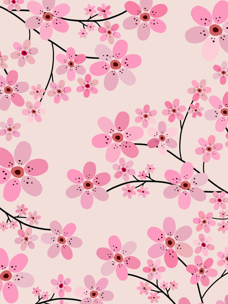 Cherry Blossom | 02
