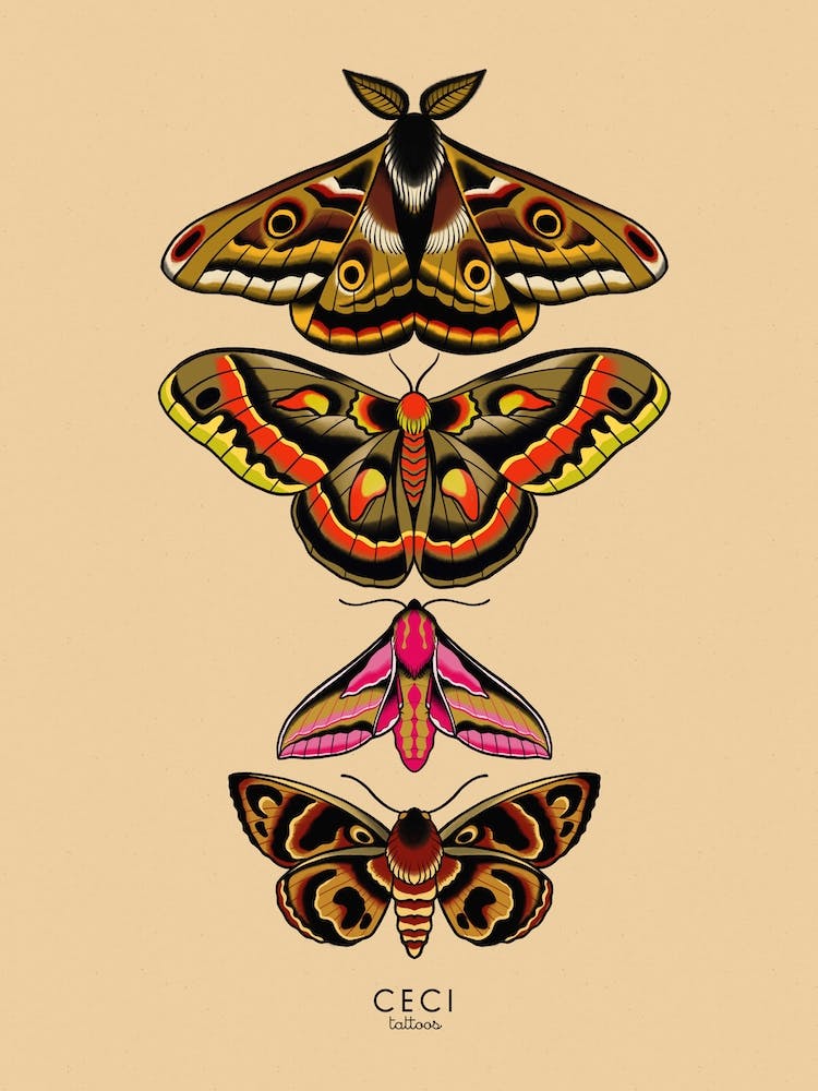 Moths