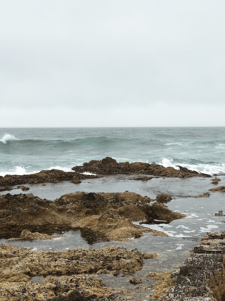 Rocky Shore At Sunrise