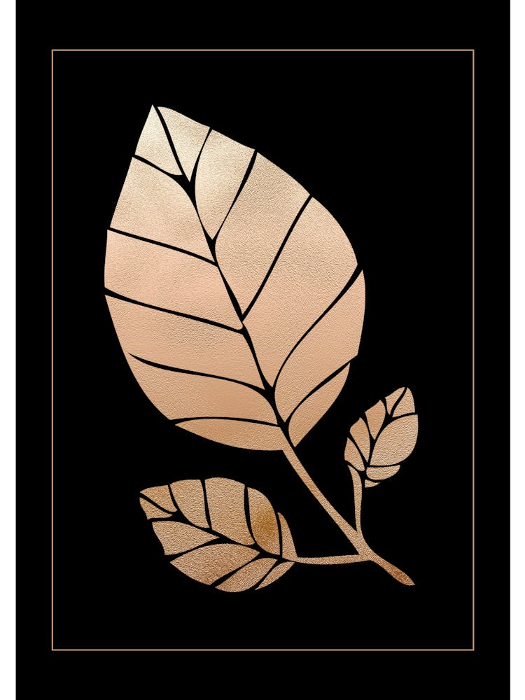 Gold Leaf on Black 6