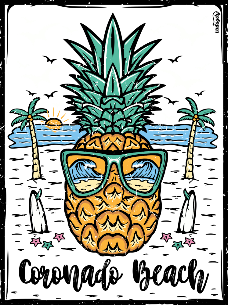 Retro Coronado Beach California