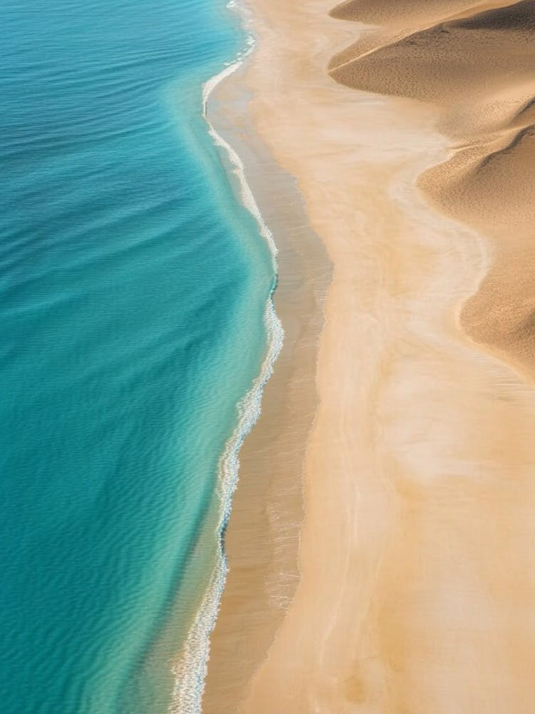 Sand Dunes On The Beach