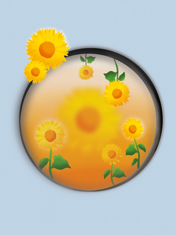 Sunflowers Window
