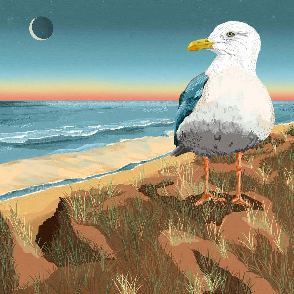 Seagull At The Beach Square