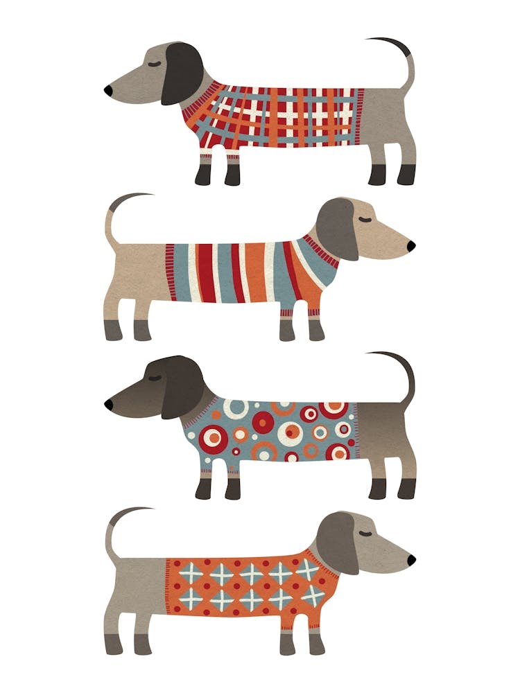 Dachshund Wiener Sausage Dogs in Knitwear