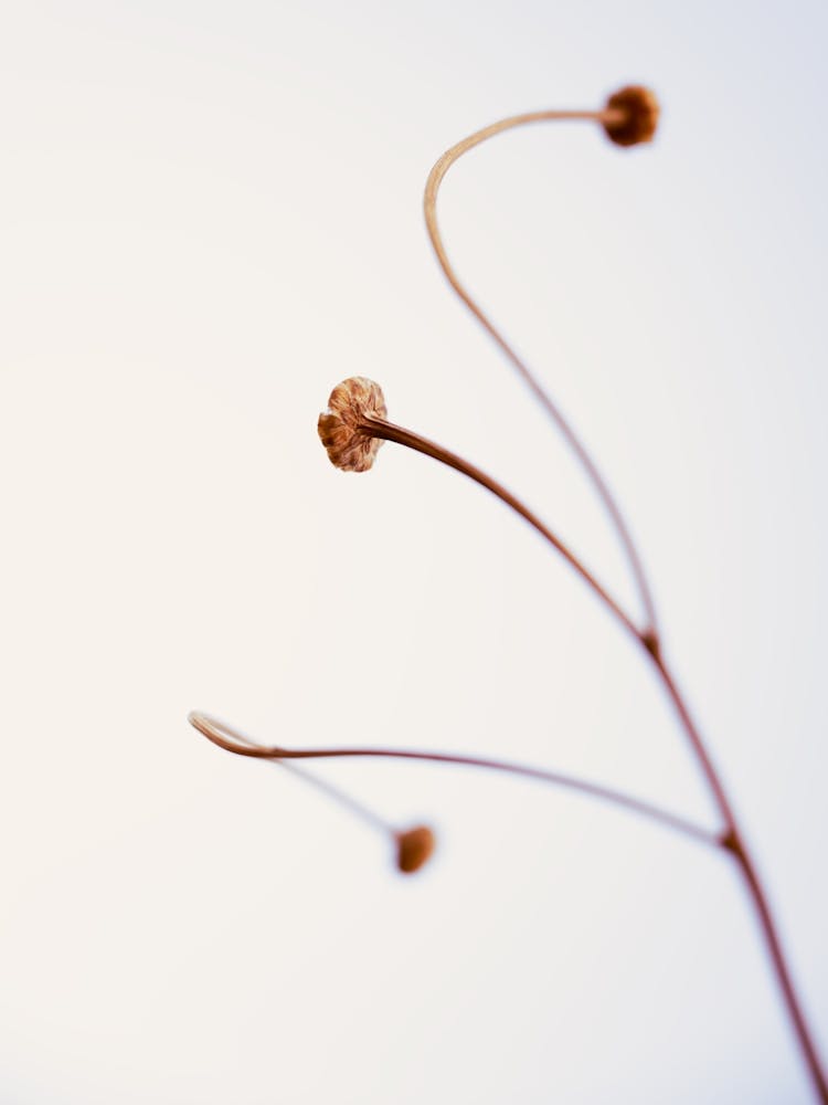 In light of current events VIII