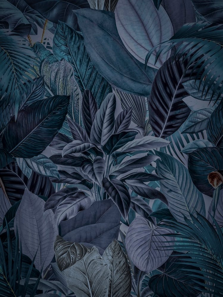 Midnight Blue Jungle