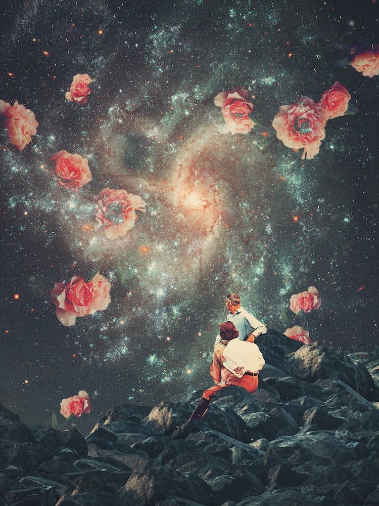 They Don'T See What We See