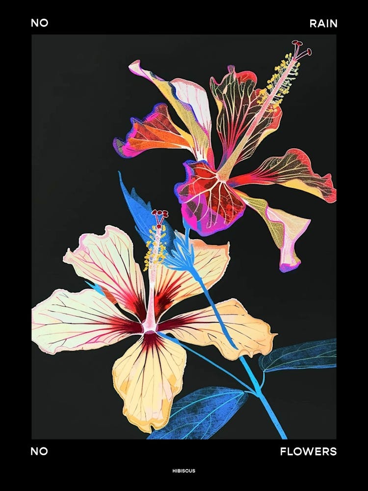 No Rain No Flowers Poster Hibiscus 1