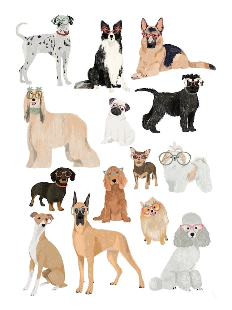 Great Dogs In Glasses
