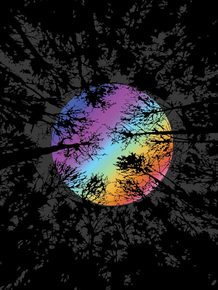 Moonlight Through Dense Forest Colorful Surreal Nature Wall Art