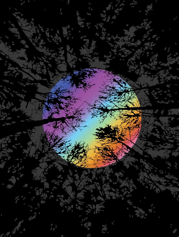 Moonlight Through Dense Forest Colorful Surreal Nature Wall Art