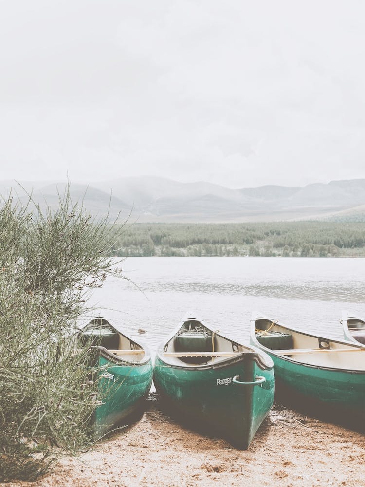 Canoes On Shore