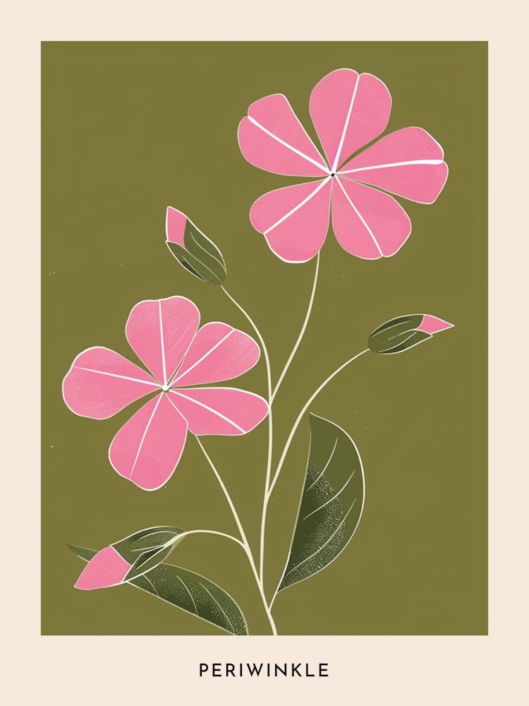 Pink & Green Periwinkle 2 Flower Poster