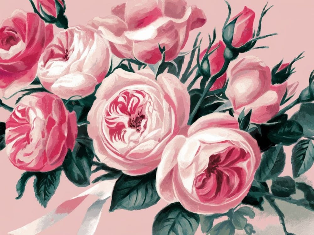 Pink Roses
