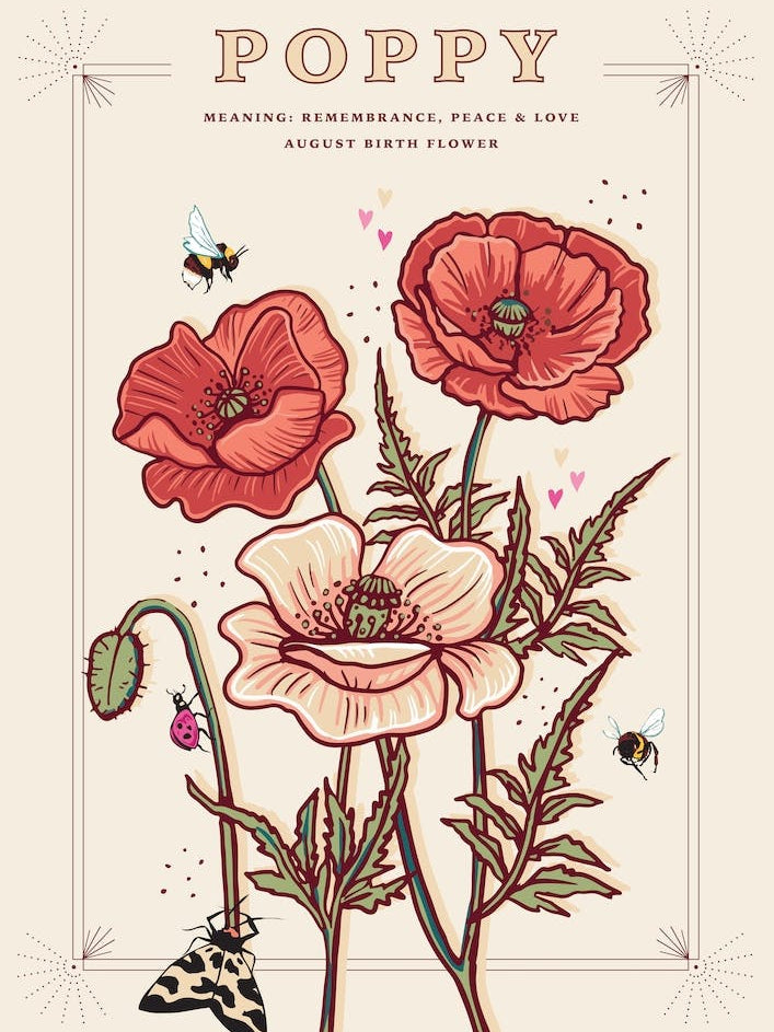 August Birth Flower Poppy On Cream