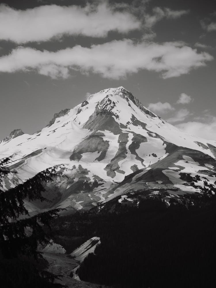 Mount Hood Black and White