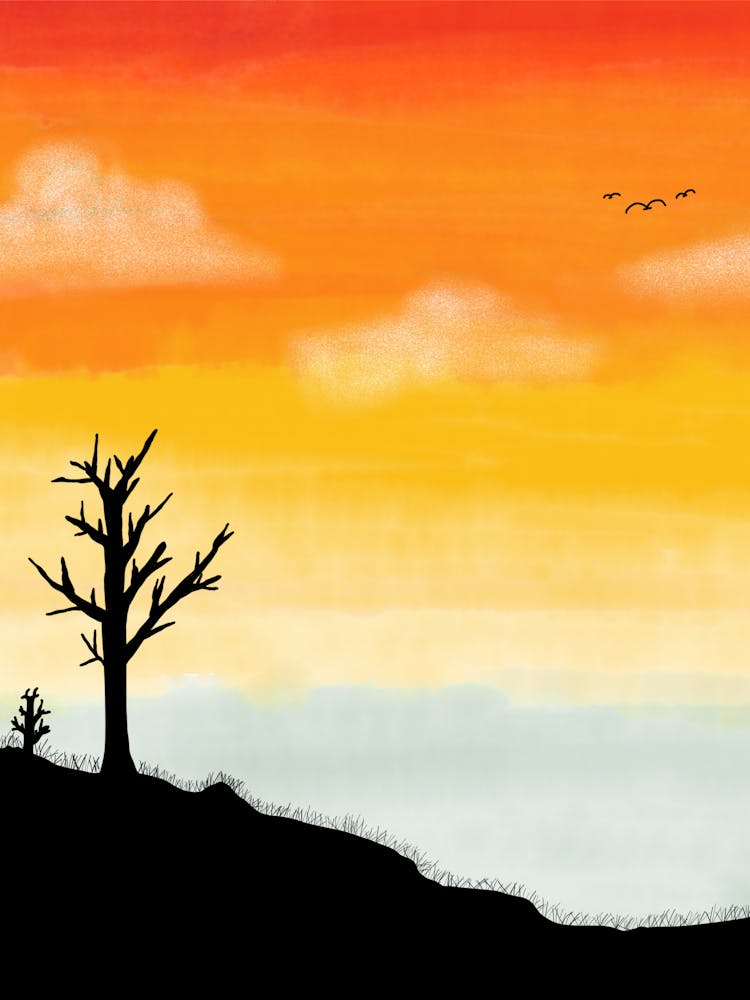 Sunset With A Tree
