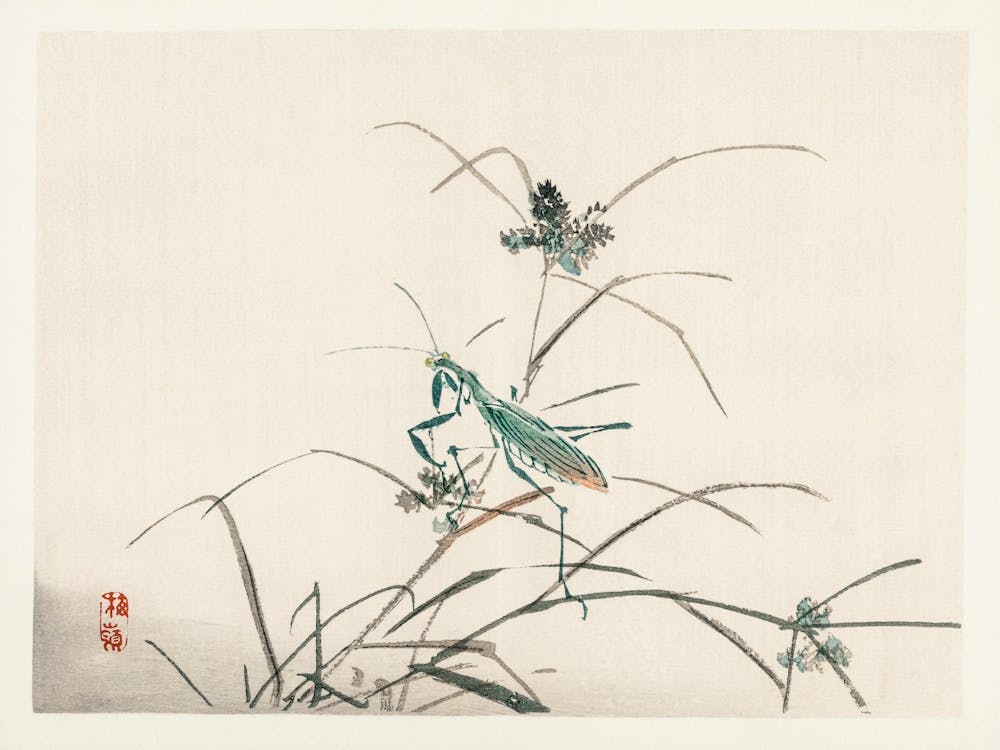Grasshopper, Kōno Bairei
