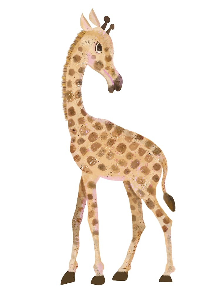 The Giraffe