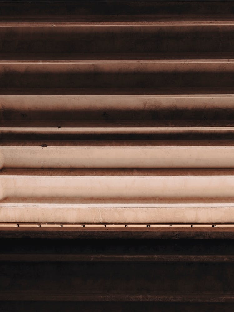 Lignes Mauves