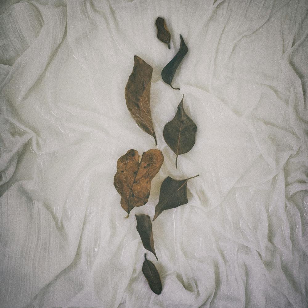 Earthy Vintage Leaves Square