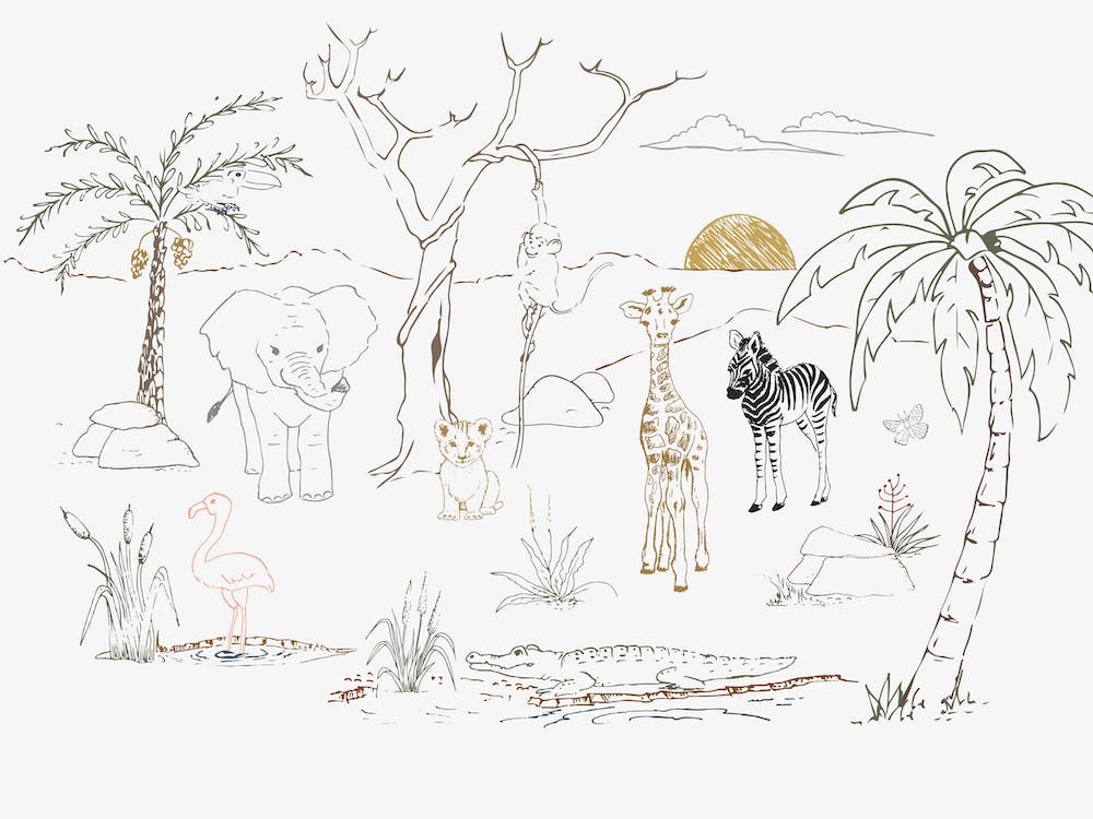 Safari Friends
