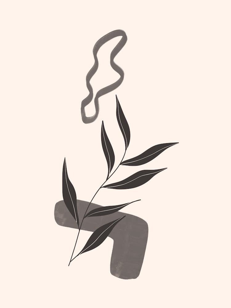 Eucalyptus 4