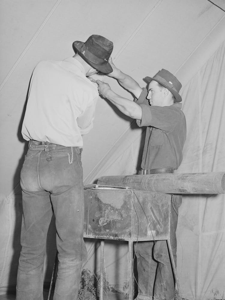 Farm Workers Fixing Up The Tent In Which They Will Live At The Fsa (Farm Security Administration) Migratory Labor Camp