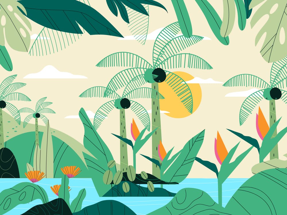Tropical Jungle 1