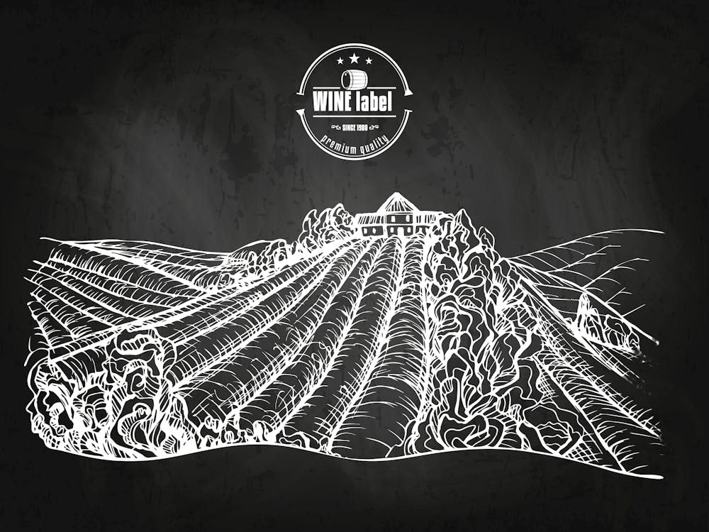 Chalkboard Drawing Of A Vineyard — wine poster, kitchen poster, wine print