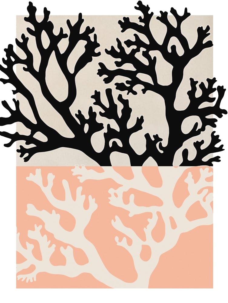 Coral Peach