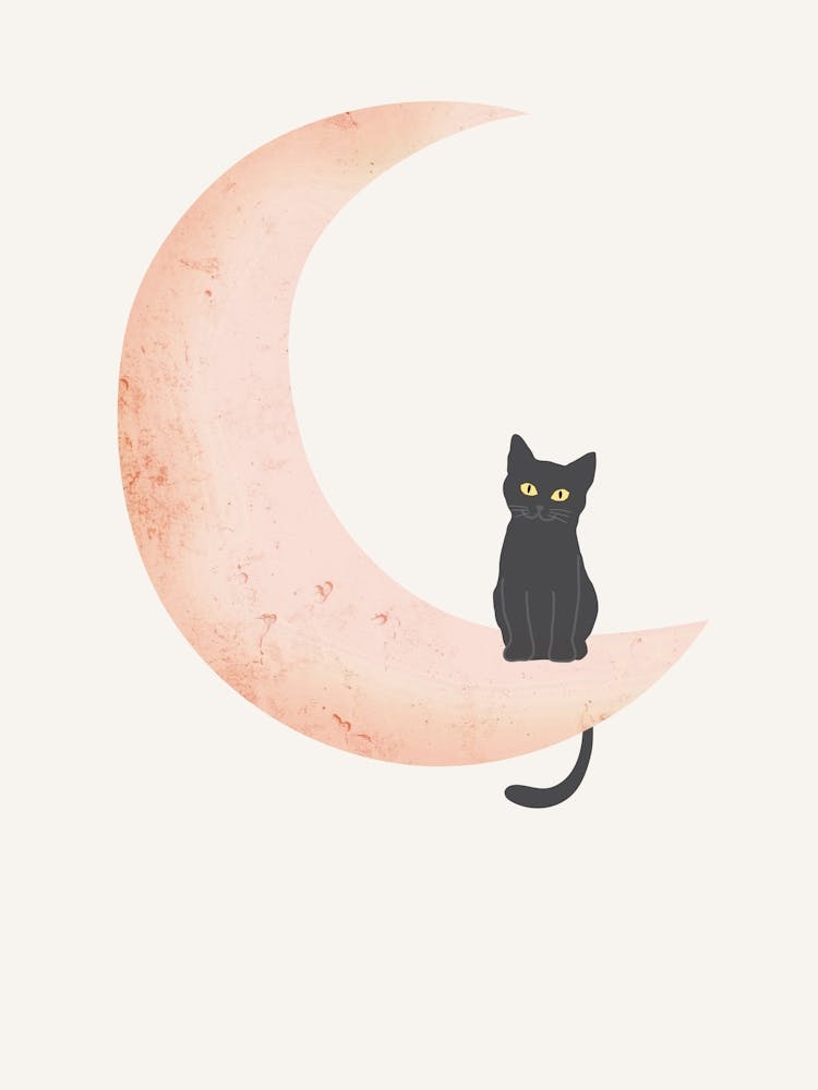 Black Cat On The Pink Moon
