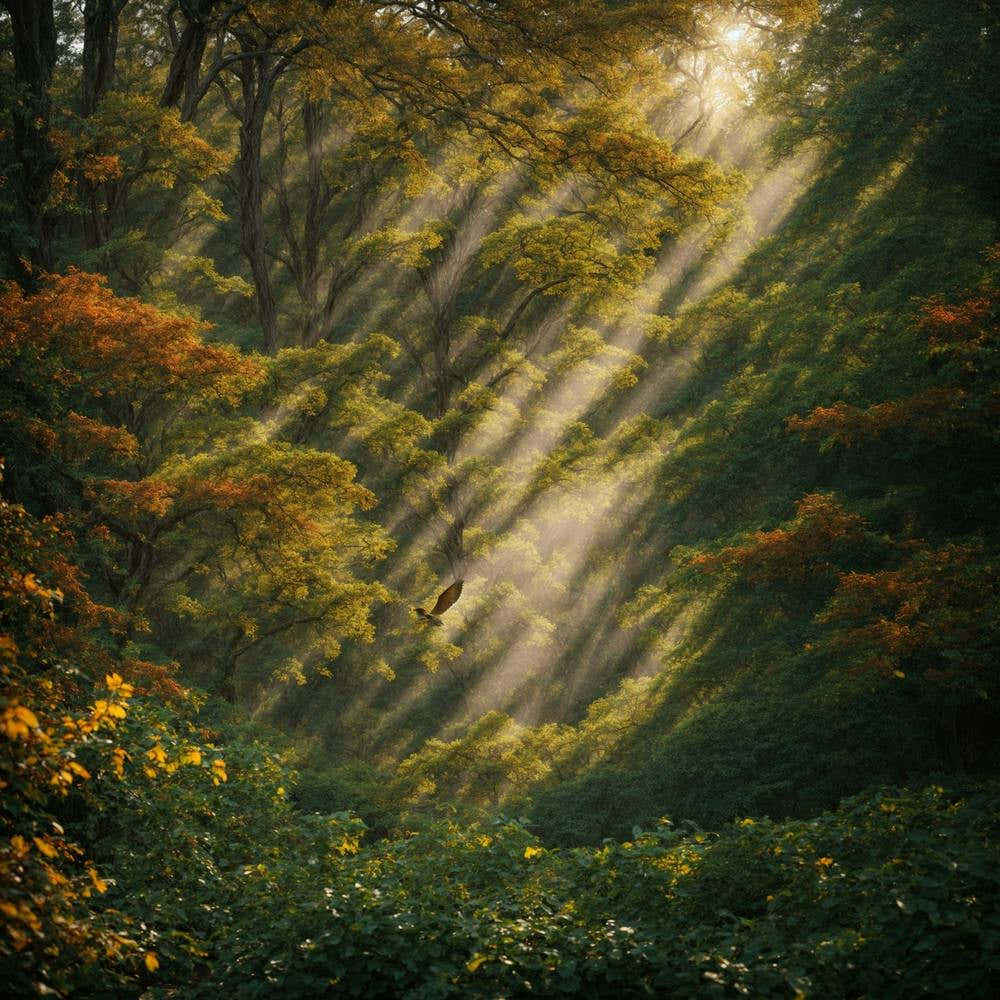 8k Highquality Image Beautifully Captures 0