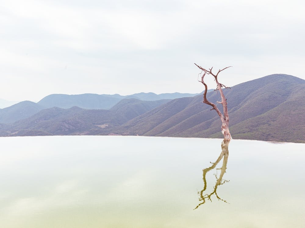 Reflect
