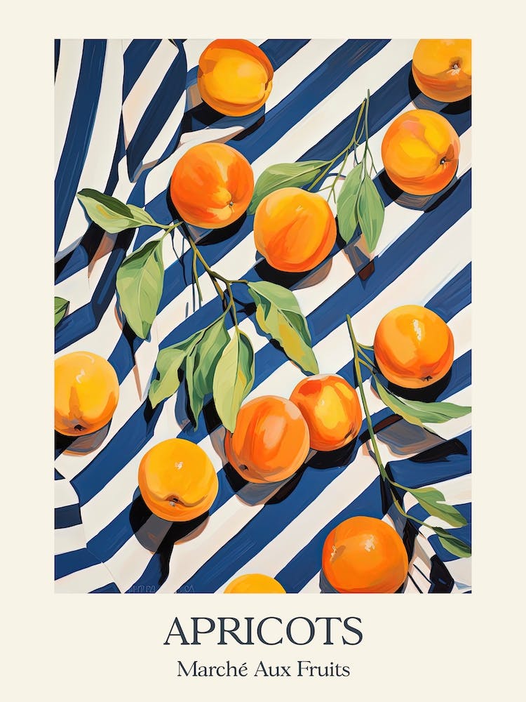 Marche Aux Fruits Poster Apricots Fruit Summer Illustration 4